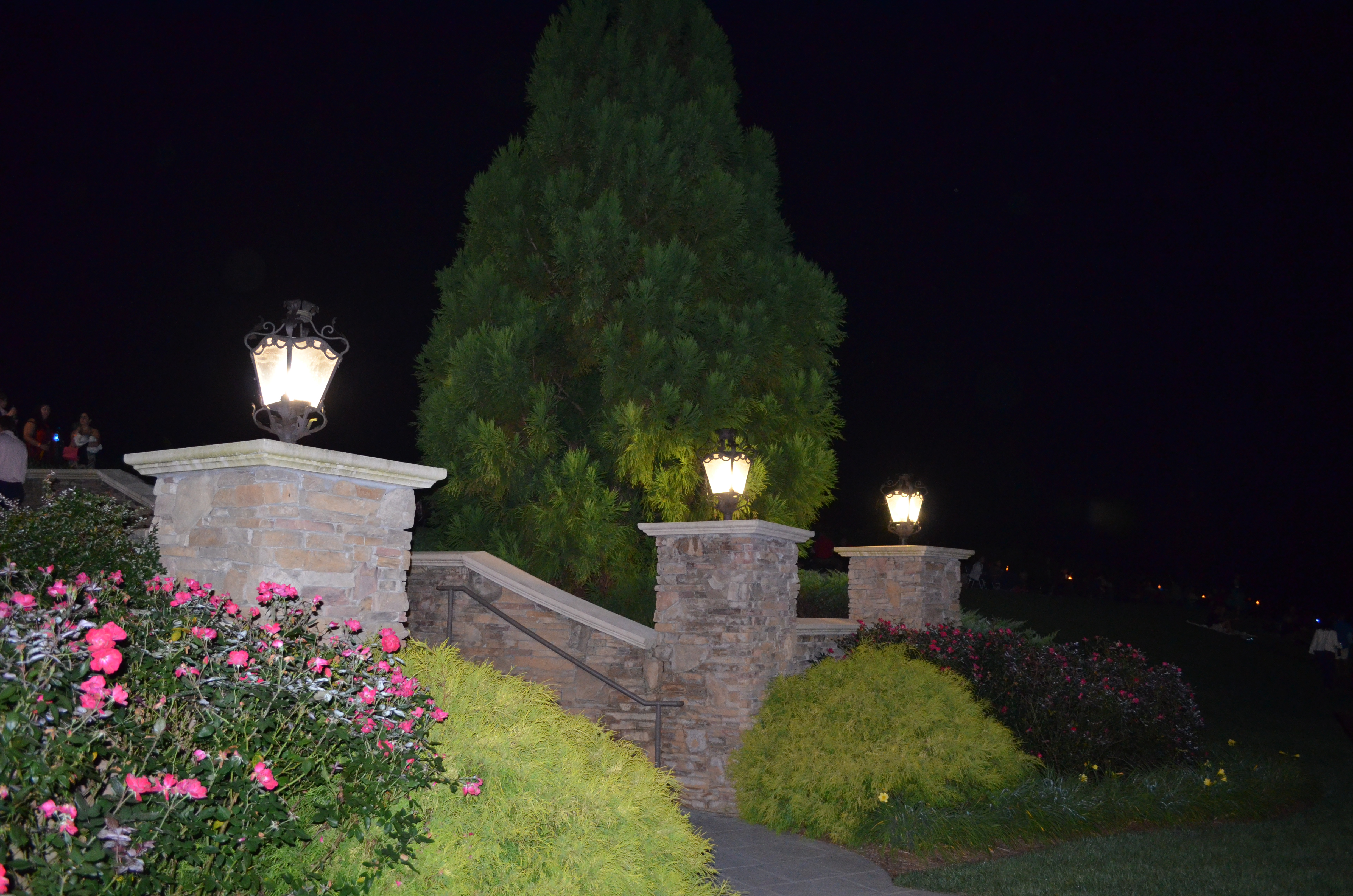 ./2012/Grape Stomp/DSC_0236.JPG